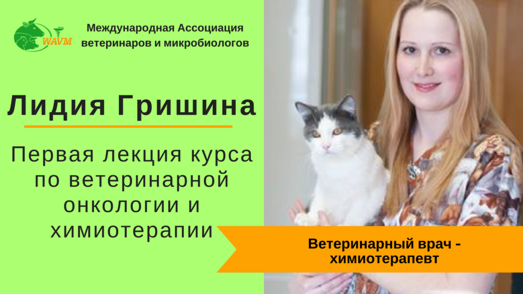 11 1024x576 - Лектор Лидия Гришина