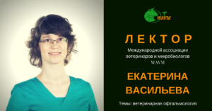 lektory veterinarija fd ads 1 300x157 - Лекторы ветеринария фд адс