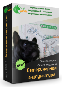akupunktura 1 215x300 - акупунктура-1