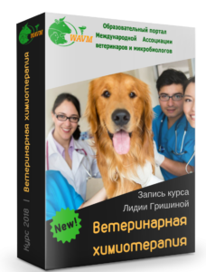 himioterapija 1 e1533421394155 228x300 - химиотерапия