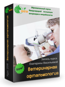 oftalmologija 1 223x300 - офтальмология-1