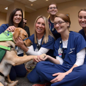 pettherapy049 800x800 300x300 - pettherapy049-800x800