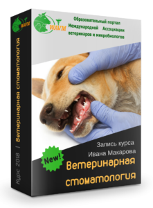 stomatologija 1 221x300 - Стоматология-1
