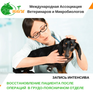 inst reabilitacija 300x300 - инст - реабилитация