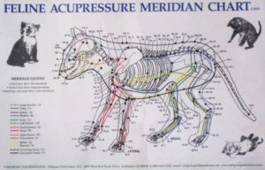 meridiany2 300x192 - меридианы2