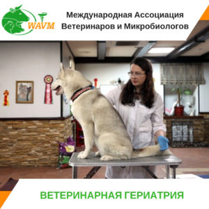 zastavka 300x300 - заставка