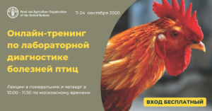 onlajn trening po laboratornoj diagnostike boleznej ptic   300x157 - Онлайн-тренинг по лабораторной диагностике болезней птиц _