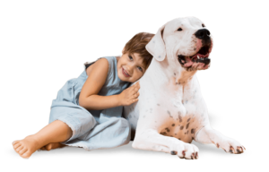 pet with girl free img 300x192 - pet-with-girl-free-img.png