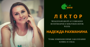 lektor rahmanina veterinarija fd ads 300x157 - Лектор Рахманина ветеринария фд адс