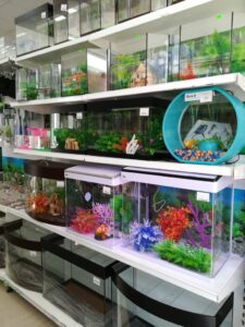 zoo magaz 225x300 - зоо-магаз